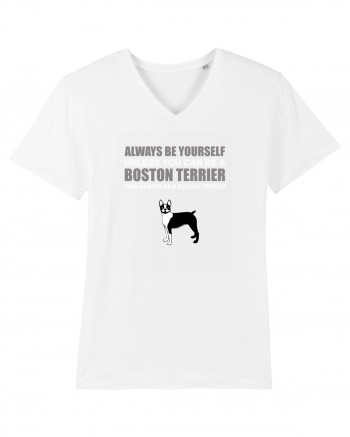 BOSTONTERRIER White