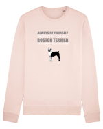 BOSTONTERRIER Bluză mânecă lungă Unisex Rise