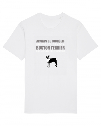 BOSTONTERRIER White