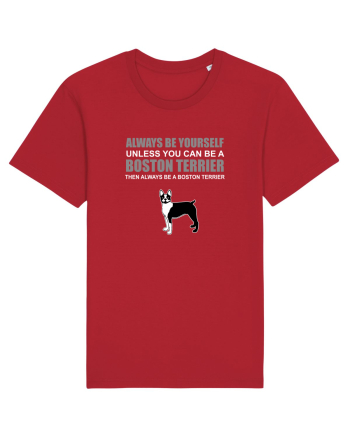 BOSTONTERRIER Red