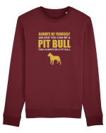 PIT BULL Bluză mânecă lungă Unisex Rise