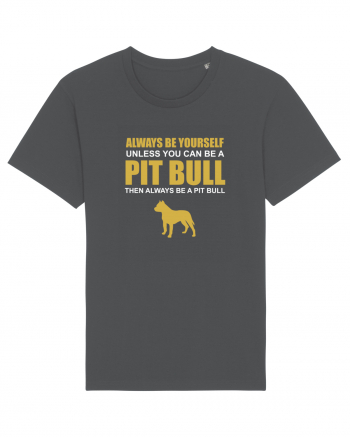 PIT BULL Anthracite