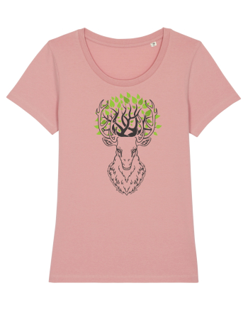 Cerb Verde Abstract Canyon Pink