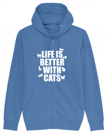 CATS Bright Blue