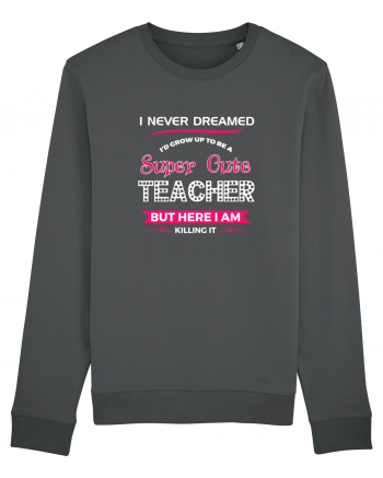 TEACHER Anthracite