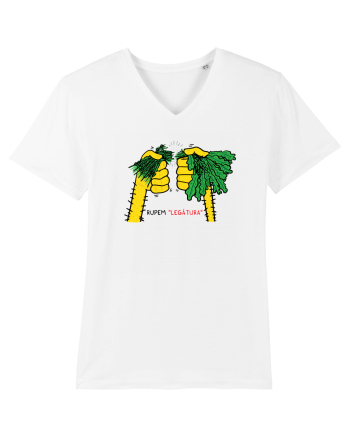 Rupem „legătura” White