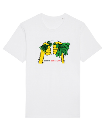 Rupem „legătura” White