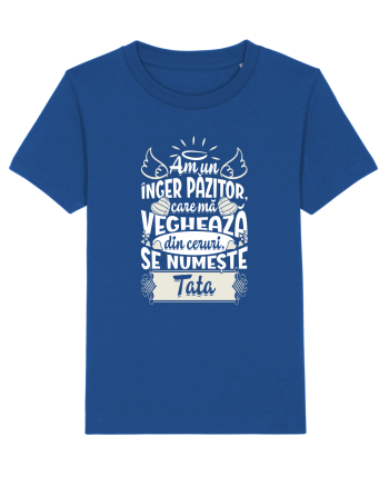 In memoriam tata Majorelle Blue