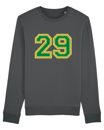 Jucator Numarul 29 Anthracite