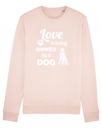 DOG Candy Pink