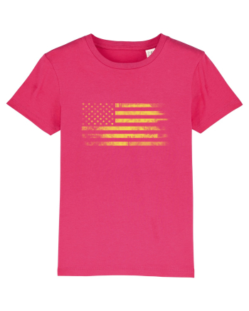 USA Raspberry
