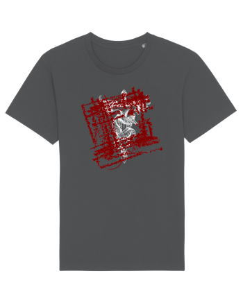 Razboinicul ascuns Anthracite