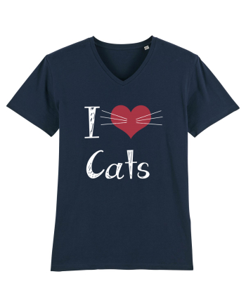 CATS French Navy