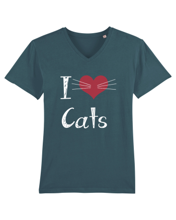 CATS Stargazer