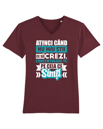 Ceea ce simti Burgundy