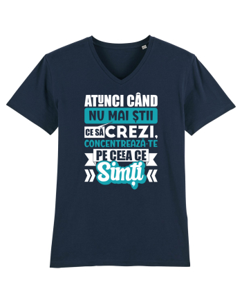 Ceea ce simti French Navy