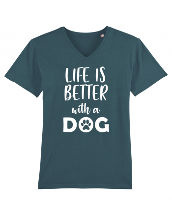 Life is better with a dog. Stargazer