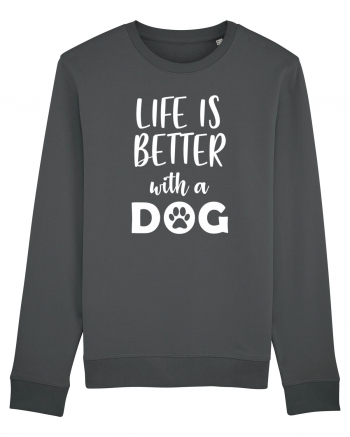 Life is better with a dog. Anthracite