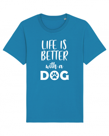 Life is better with a dog. Azur