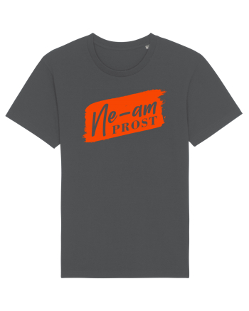 Ne-am prost Anthracite