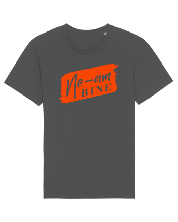 Ne-am bine Anthracite