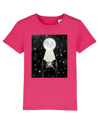 Moon Cat Raspberry
