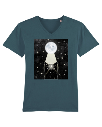 Moon Cat Stargazer