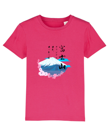 Muntele Fuji (Fujisan) negru  Raspberry