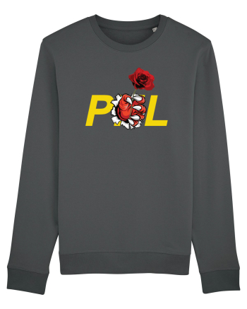 Un trandafir pentru noii membrii ai vechiului partid Anthracite