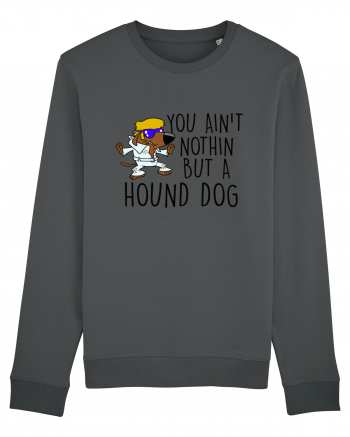 Hound dog Anthracite