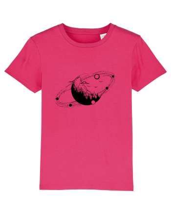 Nature and solar system Raspberry