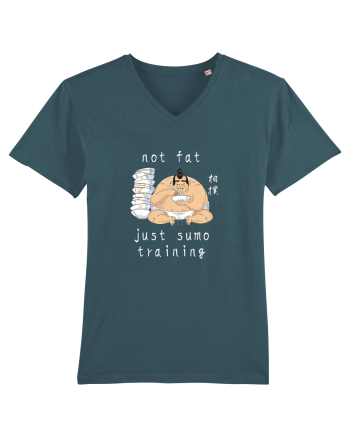 Not Fat Just Sumo Training (alb) Stargazer