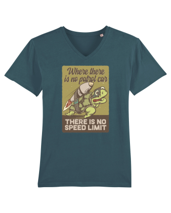 No speed limit Turtle Stargazer