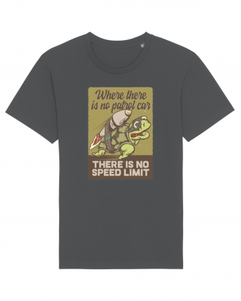 No speed limit Turtle Anthracite