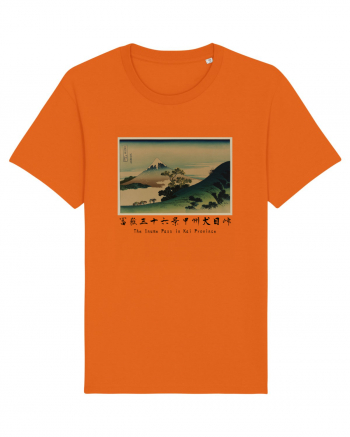 The Inume Pass in Kai Province (text negru) Bright Orange
