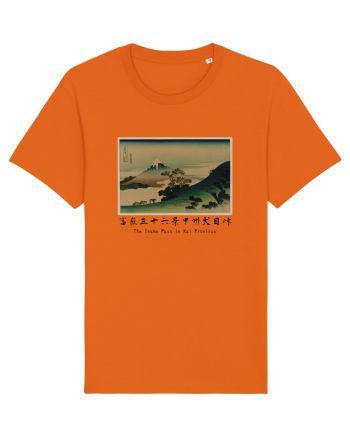 The Inume Pass in Kai Province (text negru) Bright Orange