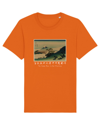The Inume Pass in Kai Province (text alb) Bright Orange
