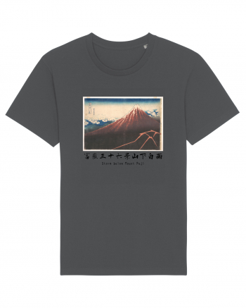 Storm below Mount Fuji (text negru) Anthracite