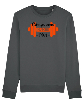 Muschii mei Anthracite