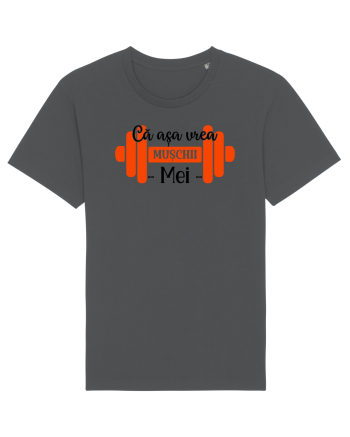 Muschii mei Anthracite