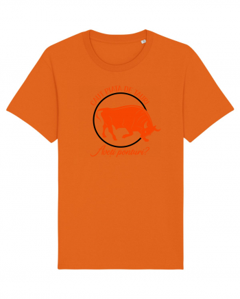 Caut piata de tauri Bright Orange