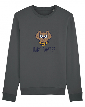 Hairy Pawter Anthracite