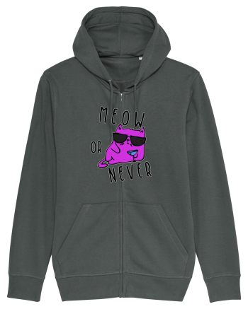 Meow or never Anthracite