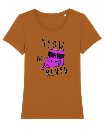 Meow or never Roasted Orange