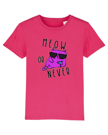 Meow or never Raspberry