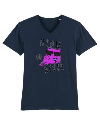 Meow or never French Navy