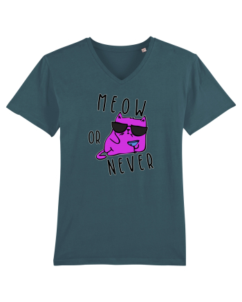 Meow or never Stargazer