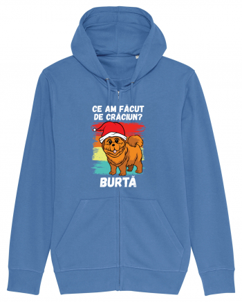 Ce am facut de Craciun Bright Blue