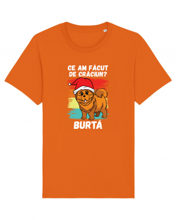 Ce am facut de Craciun Bright Orange