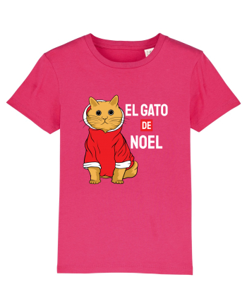 El gato de Noel Raspberry